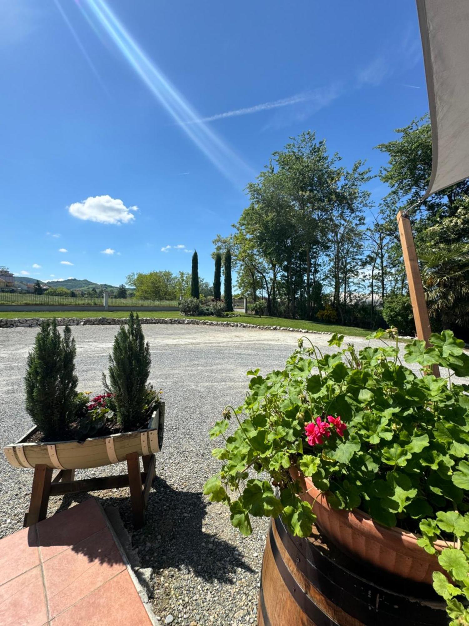 Bed and Breakfast Casale Auriga - Oltrepo' Pavese Codevilla Exterior foto